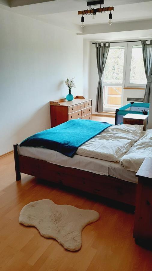Apartmanovy Dom Tatran, Apartman A32 ドノヴァリ エクステリア 写真